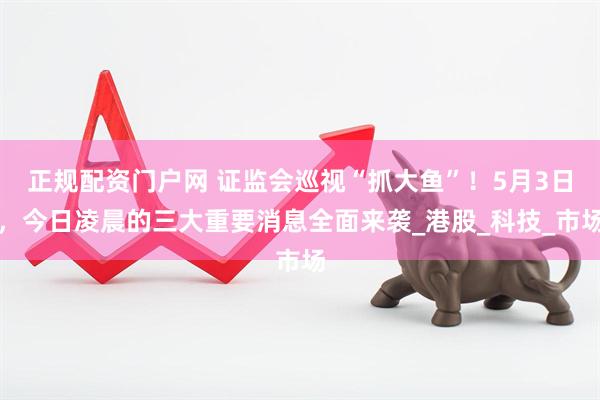 正规配资门户网 证监会巡视“抓大鱼”！5月3日，今日凌晨的三大重要消息全面来袭_港股_科技_市场
